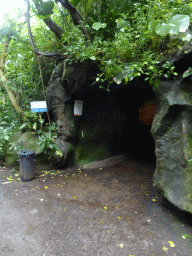 Entrance to the tunnel from the Bush Hall to the Desert Hall of Burgers` Zoo