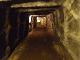 Interior of the tunnel from the Bush Hall to the Desert Hall of Burgers` Zoo