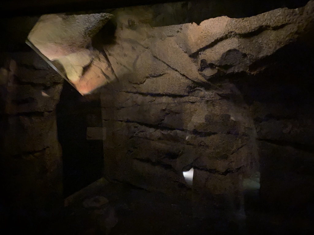 Cave with Fruit Bats in the tunnel from the Desert Hall to the Bush Hall of Burgers` Zoo