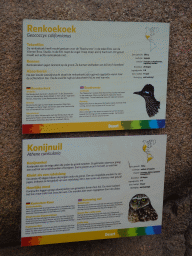 Explanation on the Greater Roadrunner and the Burrowing Owl at the Desert Hall of Burgers` Zoo