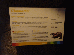 Explanation on the Gila Monster at the Desert Hall of Burgers` Zoo