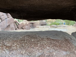 Enclosure of the Bighorn Sheep at the Desert Hall of Burgers` Zoo