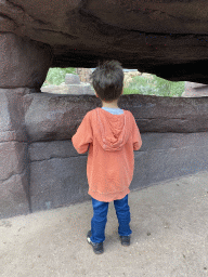 Max looking at the enclosure of the Bighorn Sheep at the Desert Hall of Burgers` Zoo