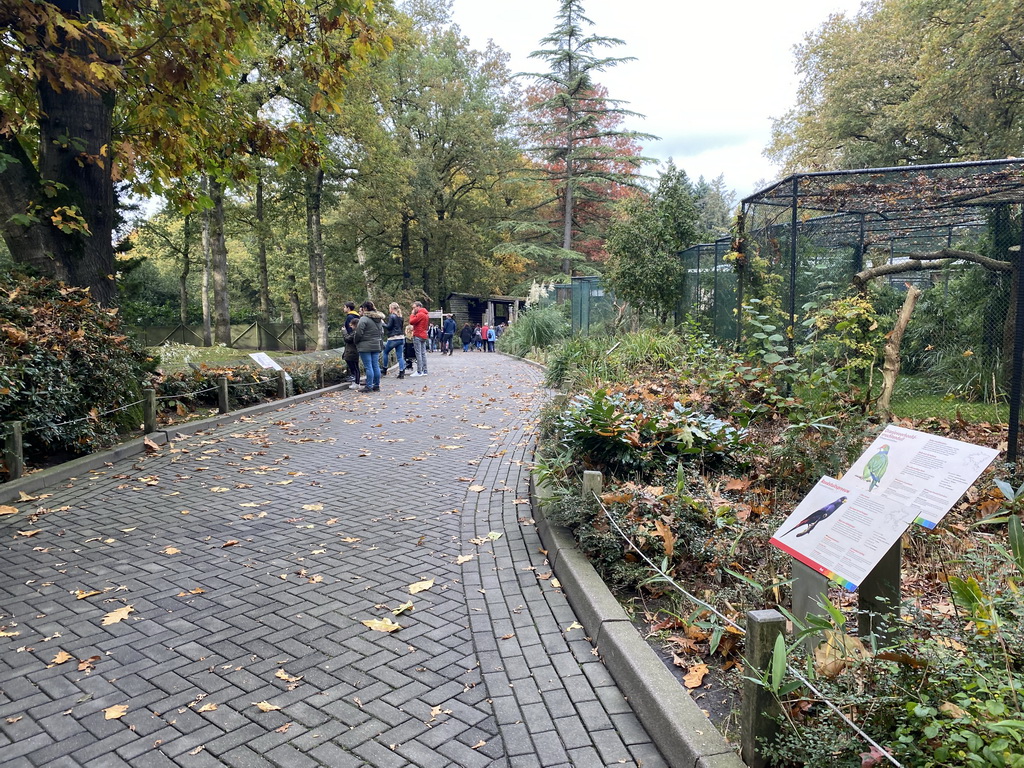 Bird cages at the Park Area of Burgers` Zoo