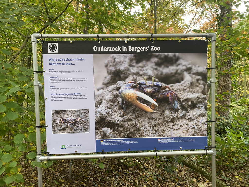 Information on research at the Safari Area at Burgers` Zoo