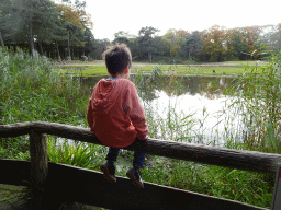 Max looking at the Rothschild`s Giraffes and Heron at the Safari Area of Burgers` Zoo