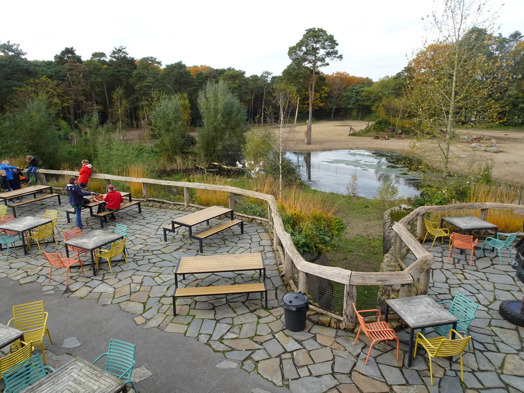 Terrace of the Safari Meeting Centre of Burgers` Zoo, with a view on the Safari Area