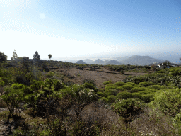 Mountains, hills and greenhouses on the south side of the island, viewed from a parking place next to the Calle Camino-Real street