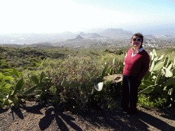 Miaomiao and cactuses at a parking place next to the Calle Camino-Real street just southwest of the town of La Escalona, with a view on mountains, hills and greenhouses on the south side of the island