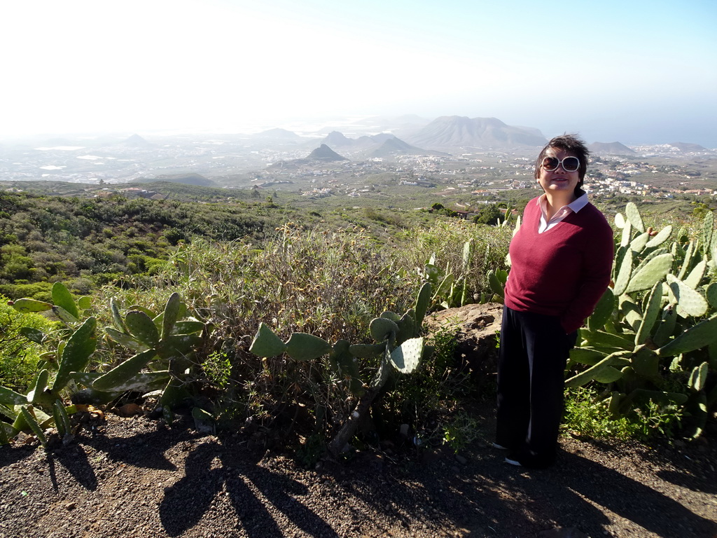 Miaomiao and cactuses at a parking place next to the Calle Camino-Real street just southwest of the town of La Escalona, with a view on mountains, hills and greenhouses on the south side of the island