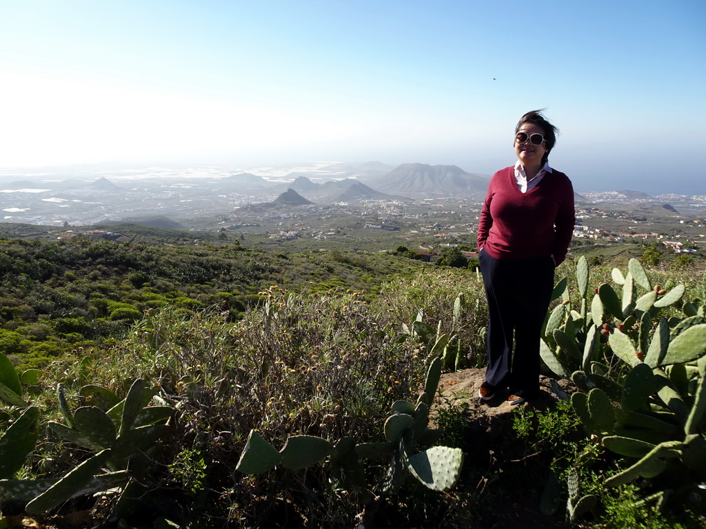 Miaomiao and cactuses at a parking place next to the Calle Camino-Real street just southwest of the town of La Escalona, with a view on mountains, hills and greenhouses on the south side of the island