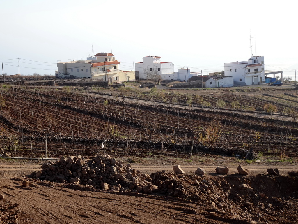 Houses and terraces at the town of La Escalona, viewed from a parking lot along the TF-51 road just northeast of the town