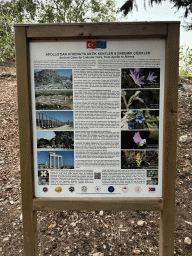 Information on the `Ancient Cities for Endemic Flora, from Apollo to Athena` project at the path to the ruins of the Acropolis, Agora, Basilica, Nympheaum and Aqueduct of Aspendos