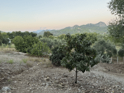 Hills on the northeast side of the Aspendos, viewed from the path to the ruins of the Acropolis, Agora, Basilica, Nympheaum and Aqueduct of Aspendos