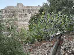 North side of the Roman Theatre of Aspendos, viewed from the path to the ruins of the Acropolis, Agora, Basilica, Nympheaum and Aqueduct of Aspendos