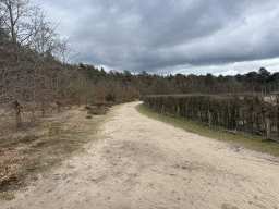 austerlitz_020 - 361 kb - 1024x768 -
