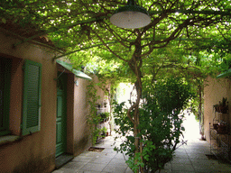 Plants at the courtyard of the Vert Hôtel