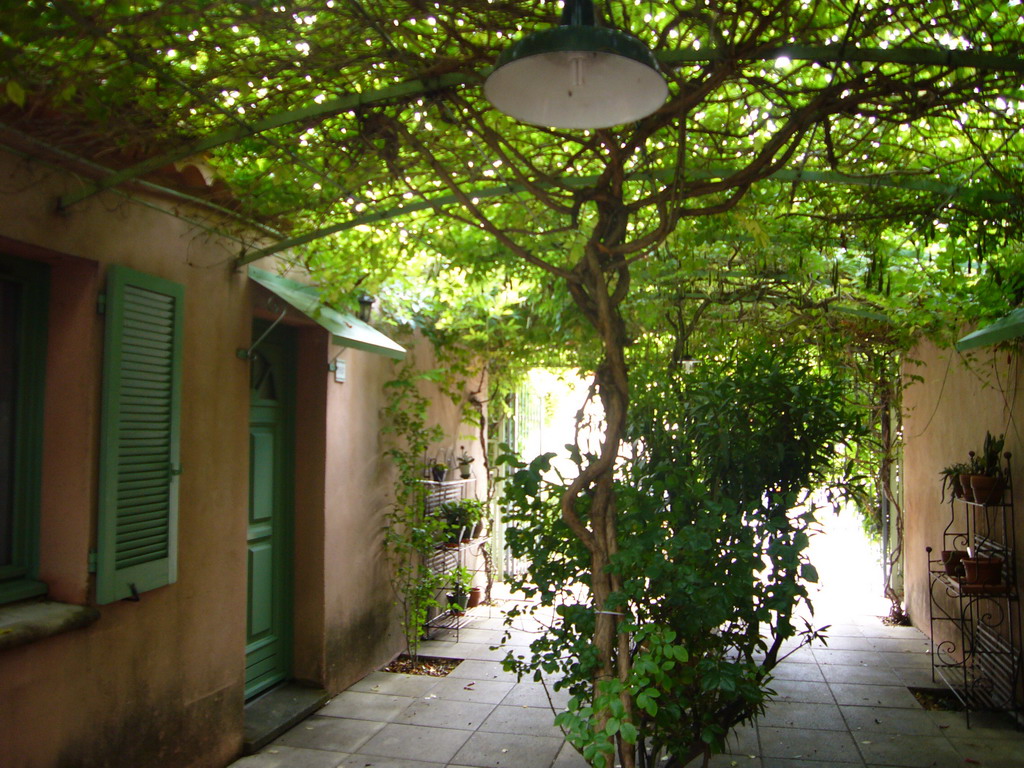 Plants at the courtyard of the Vert Hôtel