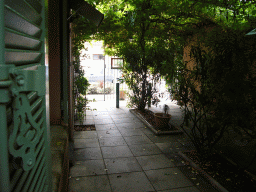 Plants at the courtyard of the Vert Hôtel