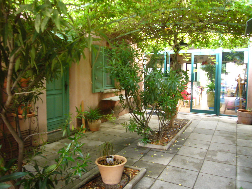 Plants at the courtyard of the Vert Hôtel