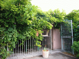 Plants and door at the Vert Hôtel