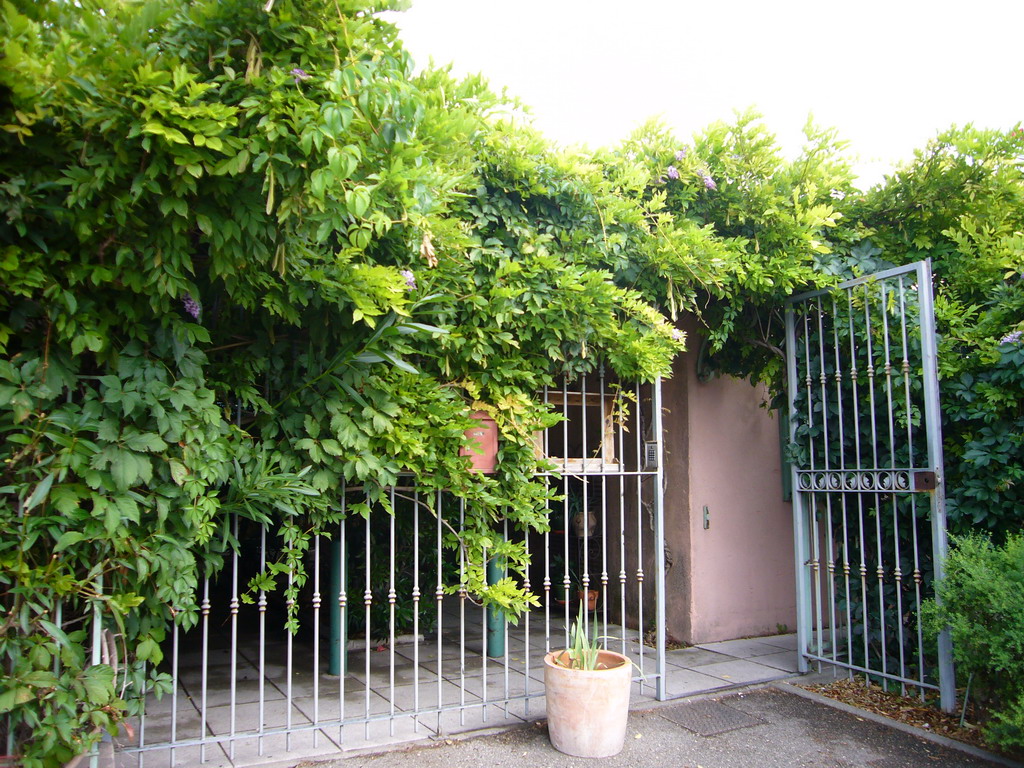 Plants and door at the Vert Hôtel