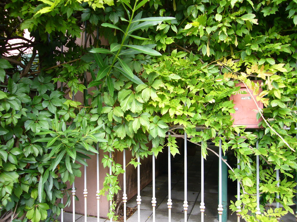 Plants and mailbox at the Vert Hôtel