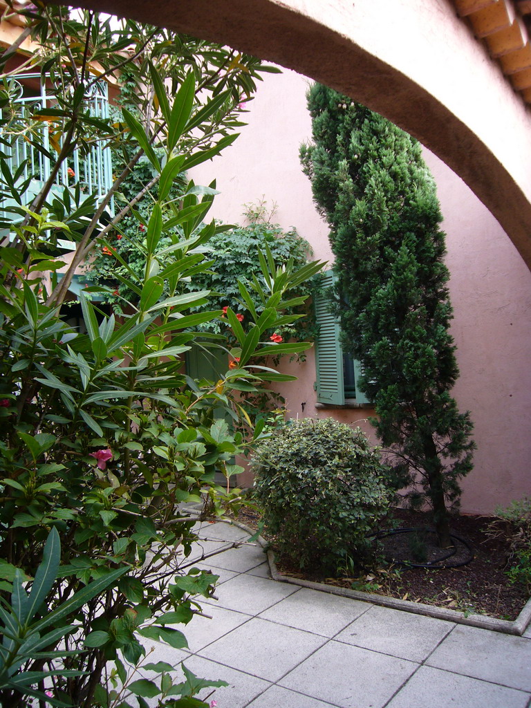 Plants at the courtyard of the Vert Hôtel