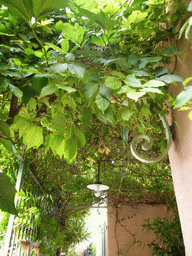 Plants and lamp at the Vert Hôtel