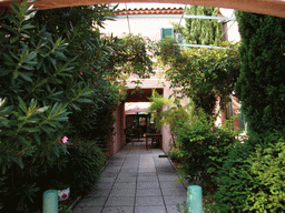 Plants at the courtyard of the Vert Hôtel