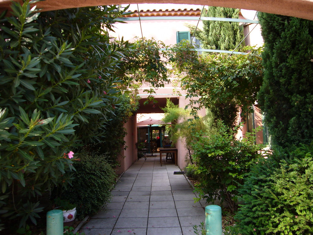 Plants at the courtyard of the Vert Hôtel