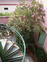 Plants and staircase at the courtyard of the Vert Hôtel