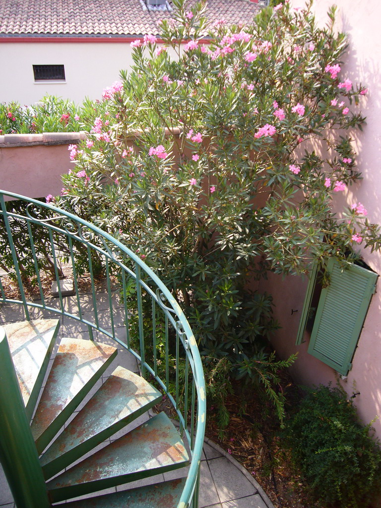 Plants and staircase at the courtyard of the Vert Hôtel