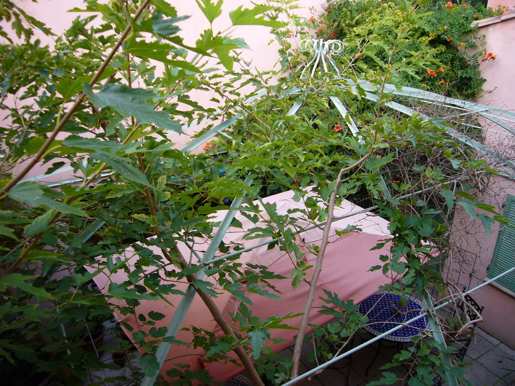 Plants and table at the Vert Hôtel