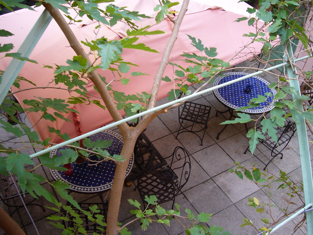 Plants and tables at the Vert Hôtel