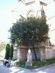 Tree and bust in the garden of the Temple Saint Martial