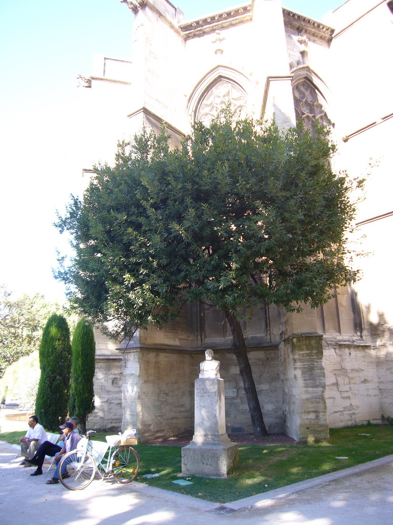 Tree and bust in the garden of the Temple Saint Martial