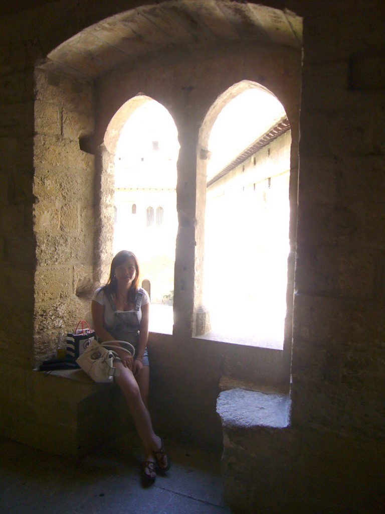 Miaomiao at a window with a view on the Cloister at the Palais des Papes palace