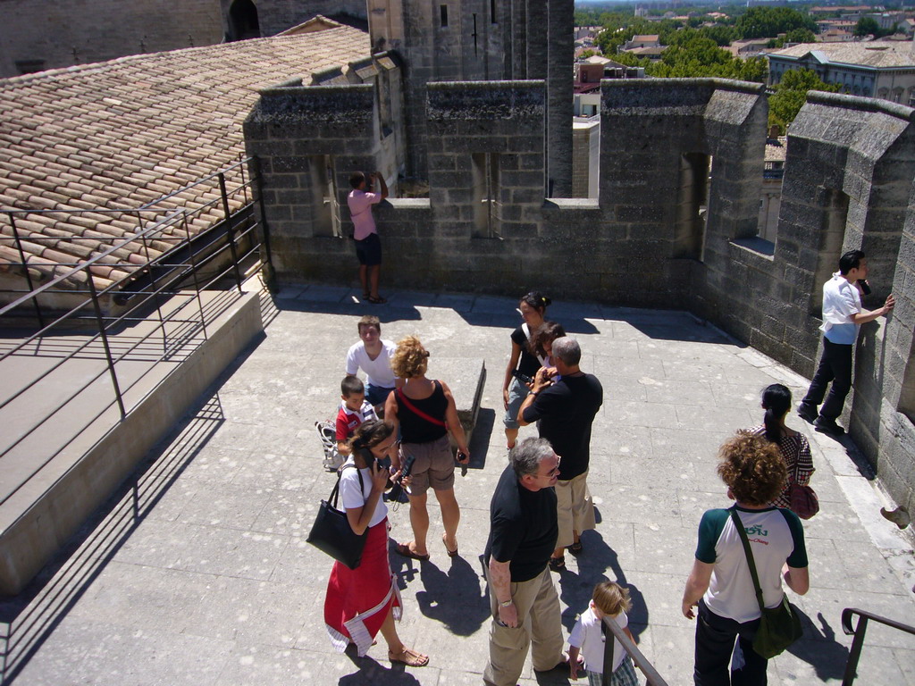 Tim at the roof of the Palais des Papes palace