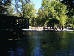 Fountain at the Rocher des Doms gardens