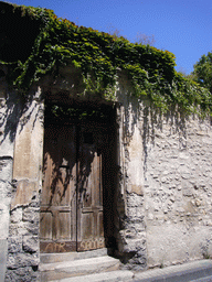 Door and plants in a street in the city center