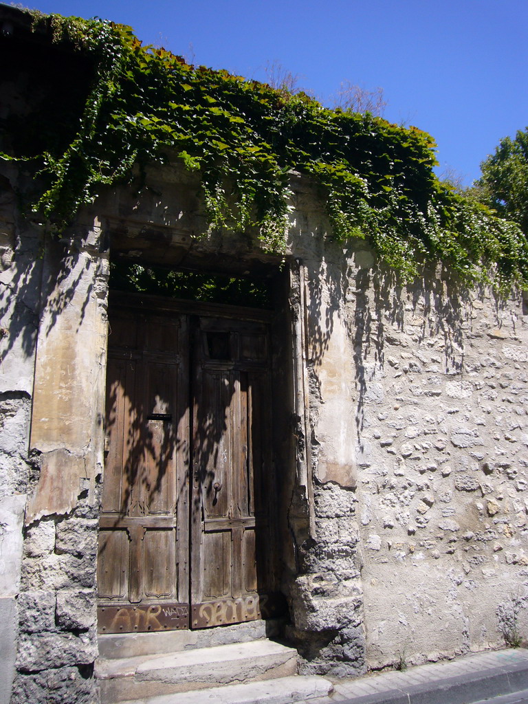 Door and plants in a street in the city center