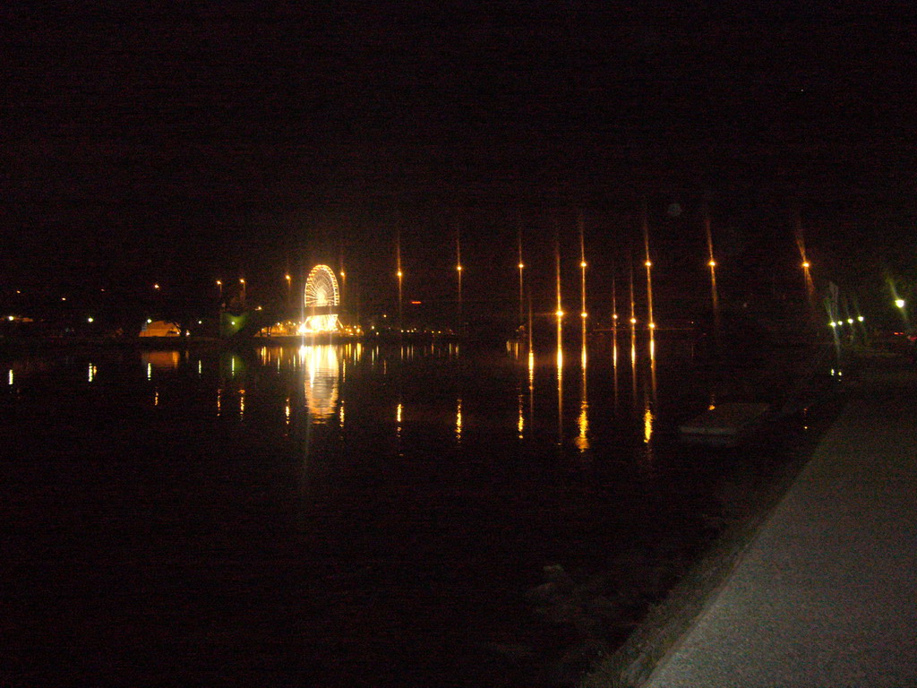 The Pont Édouard Daladier bridge over the Rhône river and a ferris wheel, viewed from the Chemin des Berges street, by night