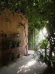 Plants at the courtyard of the Vert Hôtel