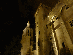 Front of the Palais des Papes palace and the Avignon Cathedral at the Place du Palais square, by night