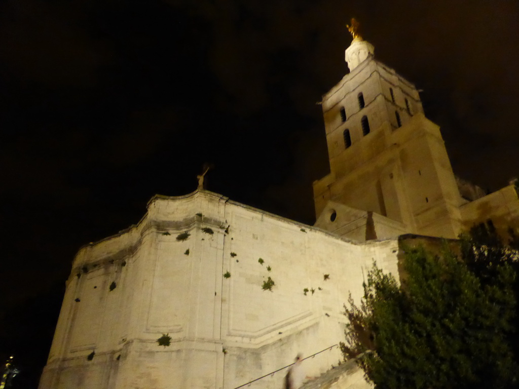 Front of the Avignon Cathedral at the Place du Palais square, by night