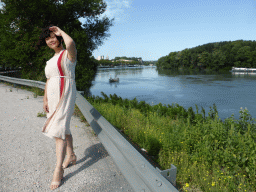 Miaomiao at a parking place next to the Route Touristique du Dr. Pons road, with a view on the Pont Saint-Bénézet bridge over the Rhône river, the northeast side of the Palais des Papes palace and the tower of the Avignon Cathedral