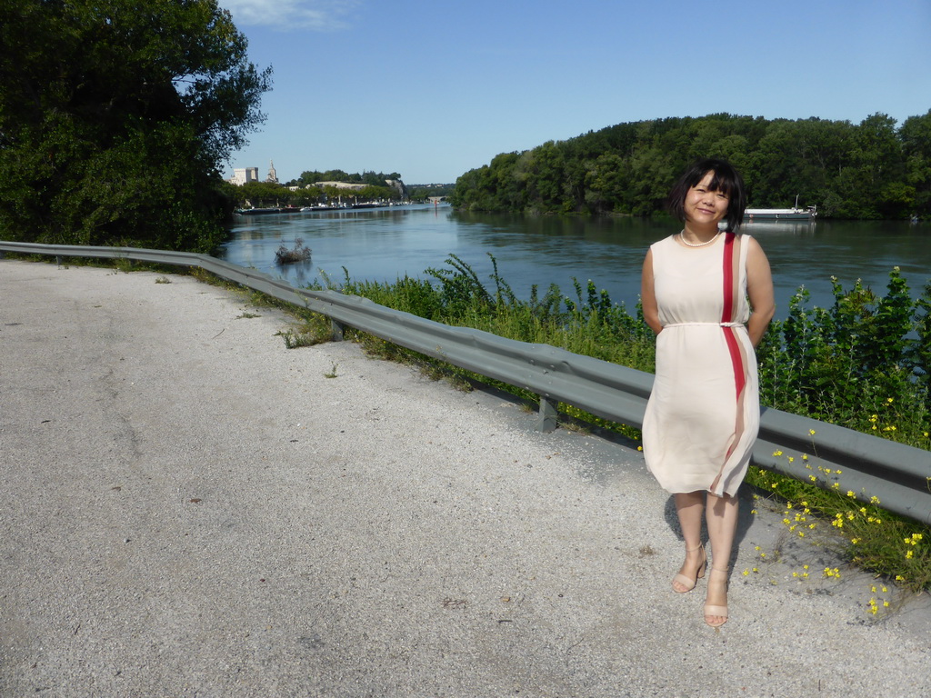 Miaomiao at a parking place next to the Route Touristique du Dr. Pons road, with a view on the Pont Saint-Bénézet bridge over the Rhône river, the northeast side of the Palais des Papes palace and the tower of the Avignon Cathedral