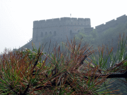 badaling_2_109 - 337 kb - 1024x768 - Plants and the Sixth Tower of the North Side of the Badaling Great Wall, viewed from a path near the Eighth Tower Plants and the Sixth Tower of the North Side of the Badaling Great Wall, viewed from a path near the Eighth Tower