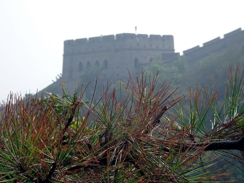 Plants and the Sixth Tower of the North Side of the Badaling Great Wall, viewed from a path near the Eighth Tower